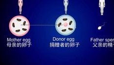 沈阳医大二院试管婴儿：试管婴儿的方方面面问题！